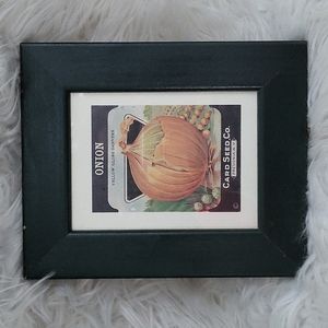 Onion Yellow Globe Danvers Card Seed Co. Fredonia, N.Y. wall art picture